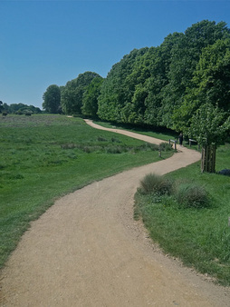 Tamsin Trail (Richmond Park) - Runner's Guide to London