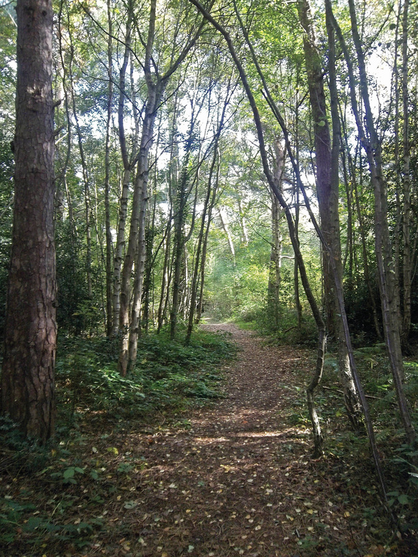 Three Commons Trail - Bromley
